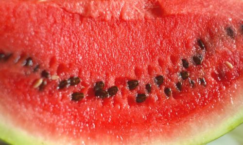 Benefits of Watermelon seeeds